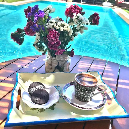 Bed & Breakfast Cayirli 2*