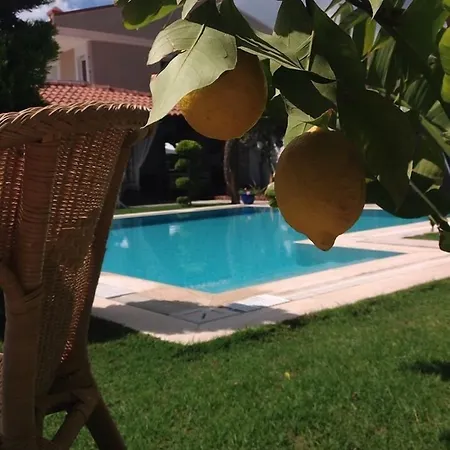 Cayirli Oda ve Kahvaltı